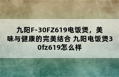 九阳F-30FZ619电饭煲，美味与健康的完美结合 九阳电饭煲30fz619怎么样